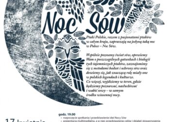 Noc Sów w Stalowej Woli