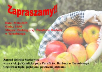 Tarnobrzeg. Darmowe jabłka.