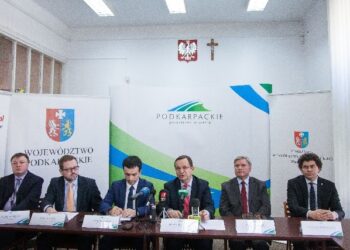 Mielec: I Podkarpackie Pokazy Lotnicze we wrześniu.
