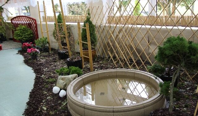 Sandomierz: Dzień otwarty w Mokoszynie