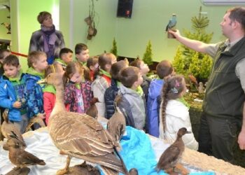 Stalowa Wola: Mieszkańcy lasu w Sali obrad.