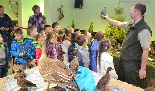 Stalowa Wola: Mieszkańcy lasu w Sali obrad.