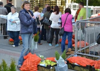 Stalowa Wola: Drzewka za papier.