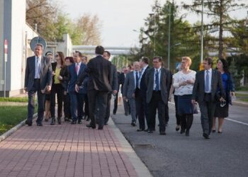 Mielec: Może powołać specjalną komisję.