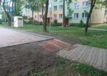 Tarnobrzeg. Zabrakło chodnika, chodzą po dywanie.