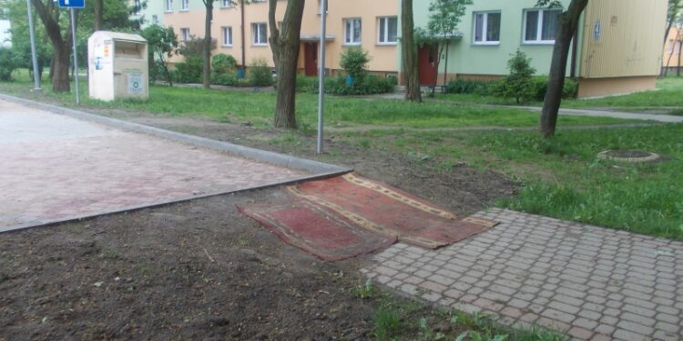 Tarnobrzeg. Zabrakło chodnika, chodzą po dywanie.