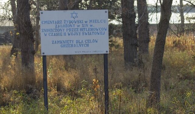 Mielec: Wyznaczono lokalizację grobu cadyka Jakowa Horowitza.