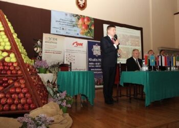 Sandomierz: Gdzie sprzedać owoce?