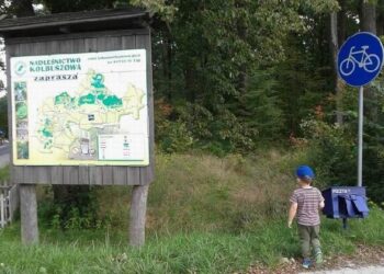 Kolbuszowa: Zapuszczone ścieżki rowerowe.