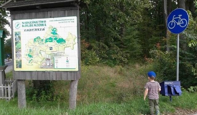 Kolbuszowa: Zapuszczone ścieżki rowerowe.