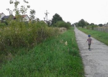 Kolbuszowa: Kłótnie o koszenie trawy.