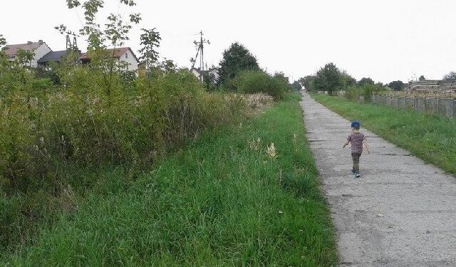 Kolbuszowa: Kłótnie o koszenie trawy.