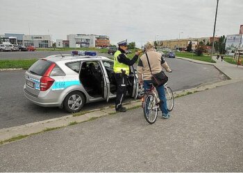 Mielec: Niechronieni uczestnicy ruchu drogowego.