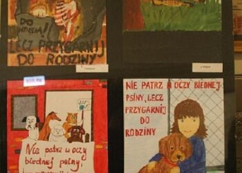 Stalowa Wola: Koncert ze zwierzętami w tle.