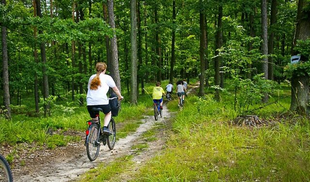 Mielec: Po raz piaty mini rajd leśny