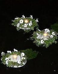 Nowa Dęba: Noc Kupały