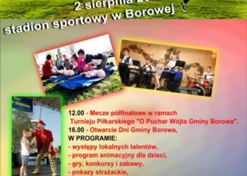 Dni gminy Borowa