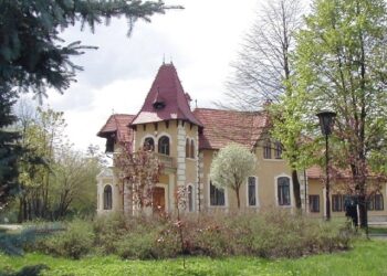 Mielec:  Rzeźby na wakacje.