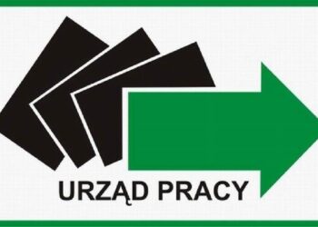 Kolbuszowa: Ogromna popularność staży