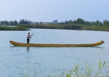 Mielec: Największa dłubanka z powiatu mieleckiego.