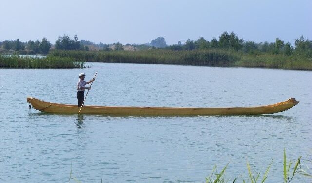 Mielec: Największa dłubanka z powiatu mieleckiego.