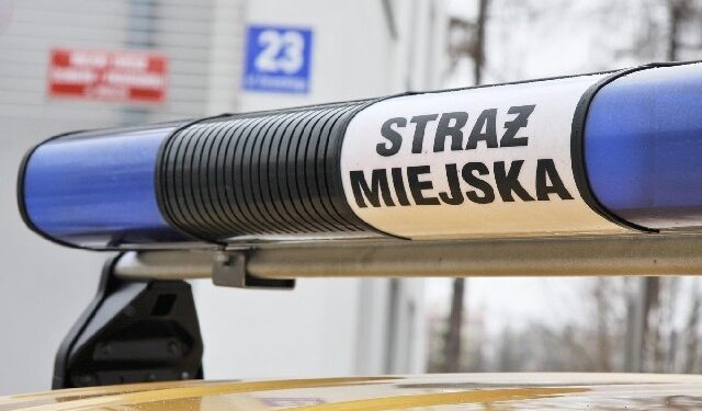 Mielec: Przewożone dzieci są bezpieczne
