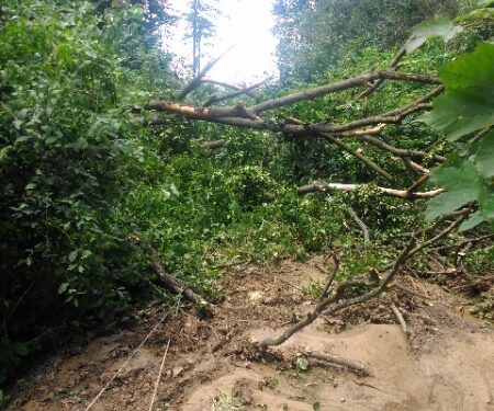 Sandomierz: Skutki popołudniowej burzy.