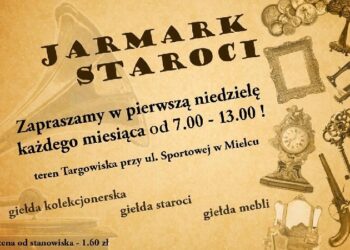 Mielec: Kupić, nie kupić, zobaczyć warto.