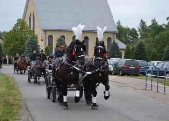 Żarówka:  Konie, zaprzęgi i szarża