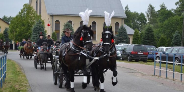 Żarówka:  Konie, zaprzęgi i szarża