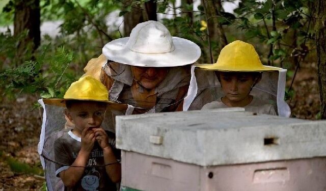 Kolbuszowa: Ule, miód, pszczelarze