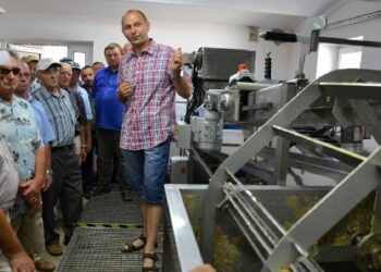 Stalowa Wola: Powiat zorganizował warsztaty dla pszczelarzy.