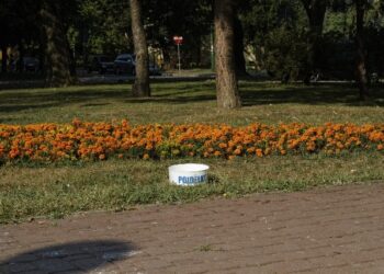 Mielec: Poidła dla zwierząt.