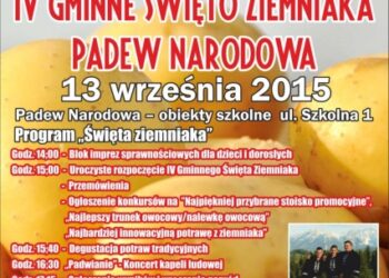 Padew Narodowa: IV Gminne Święto Ziemniaka