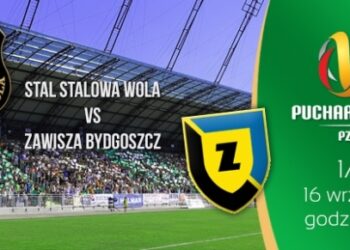 Stalowa Wola: Stal powalczy z Zawiszą o ćwierćfinał.