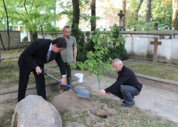 Sandomierz: Katyński Dąb Pamięci.