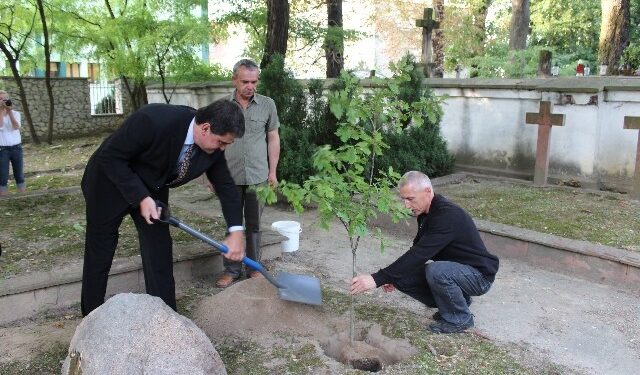 Sandomierz: Katyński Dąb Pamięci.