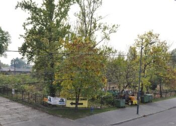 Mielec: Cmentarz zostanie posprzątany.