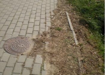 Padew Narodowa: Proszą o chodnik.
