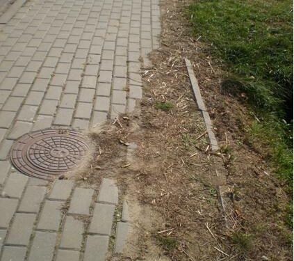 Padew Narodowa: Proszą o chodnik.