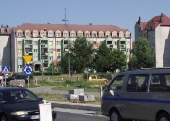 Mielec: Spór o drzewa.