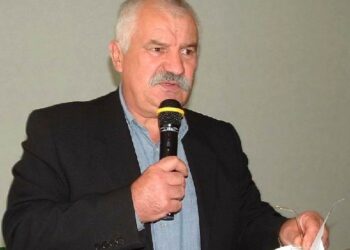 Mielec: Problem z wycięciem jednego drzewa.