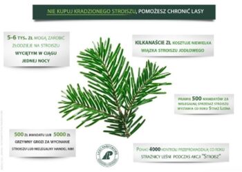 Mielec: Strojenie może nas wiele kosztować.