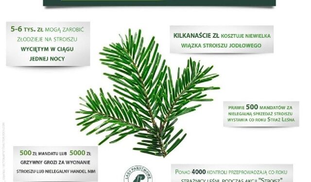 Mielec: Strojenie może nas wiele kosztować.