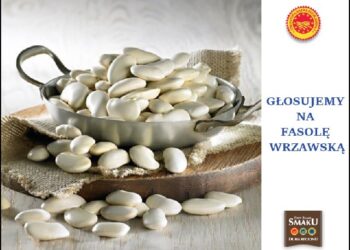 Gorzyce: Głosuj na wrzawską fasolę