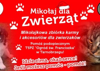 Tarnobrzeg. Mikołaj dla zwierząt.