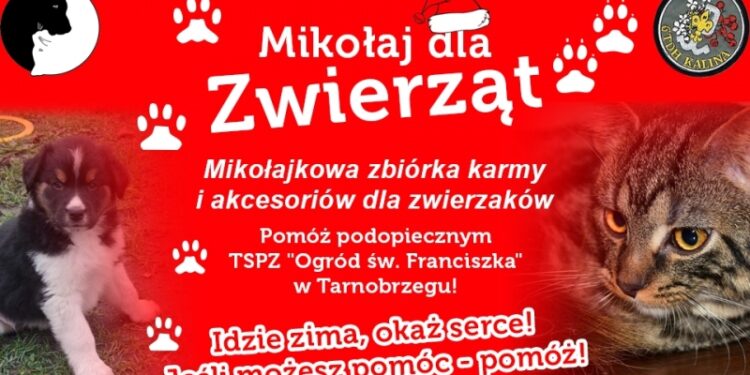 Tarnobrzeg. Mikołaj dla zwierząt.