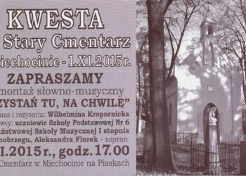 Tarnobrzeg:'Przystań tu na chwilę'.