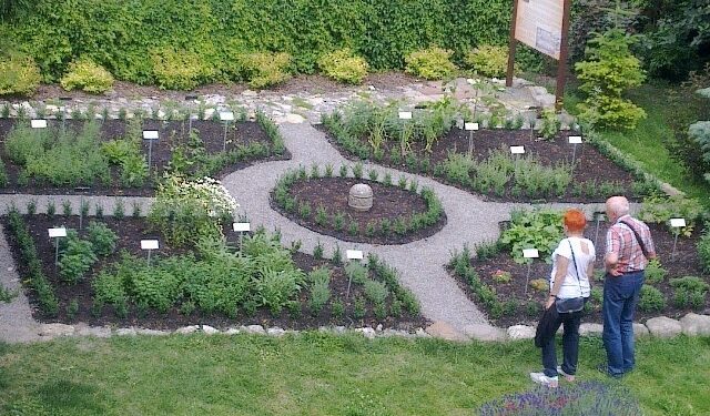 Sandomierz: Róża Regionów 2015 dla Sandomierskiego ogrodu kanonika Marcina z Urzędowa.