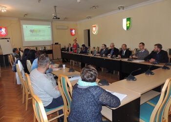 Mielec: Forum Organizacji Pozarządowych.